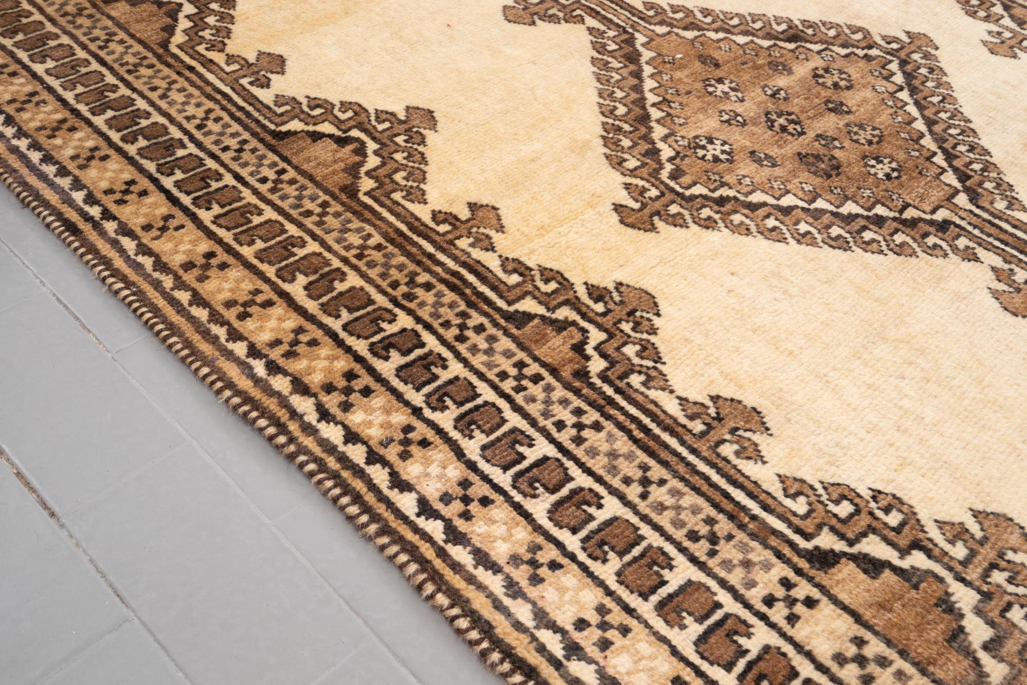 Brown geometric borders and striped side binding of the Shooli Gabbeh rug
