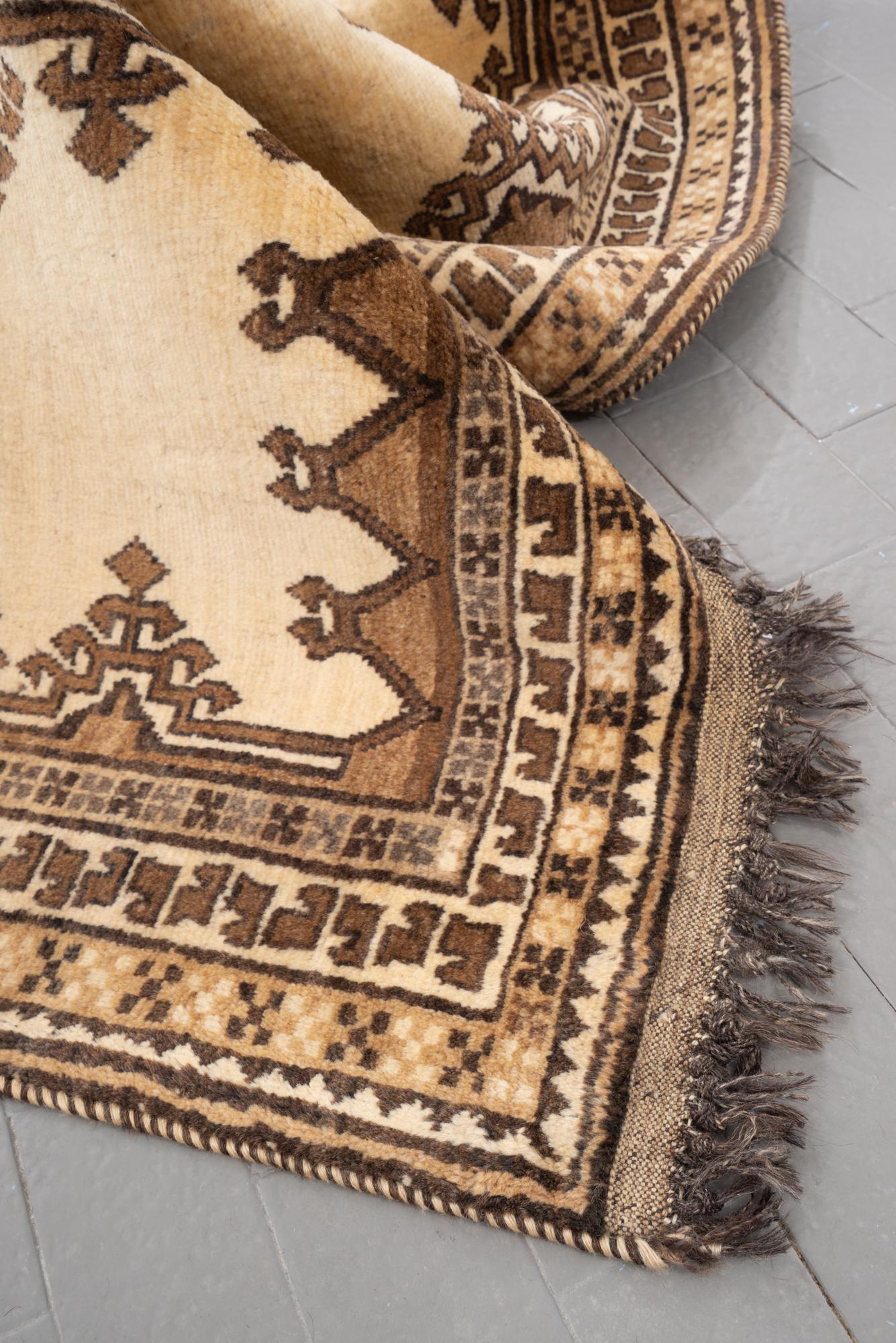Corner, woven end and striped binding of the Shooli Gabbeh rug