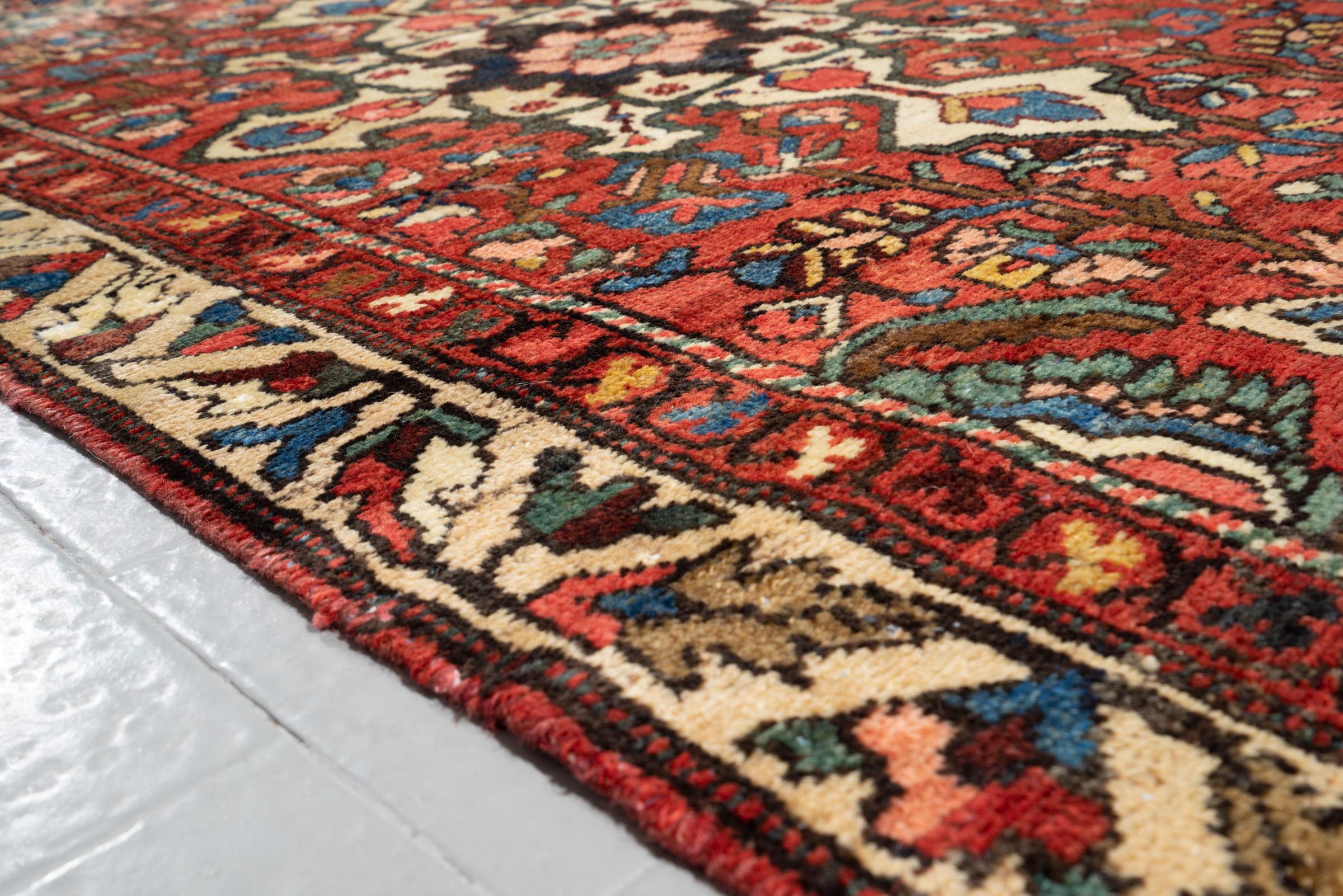 Antique Bakhtiari Toranj floral Persian Rug