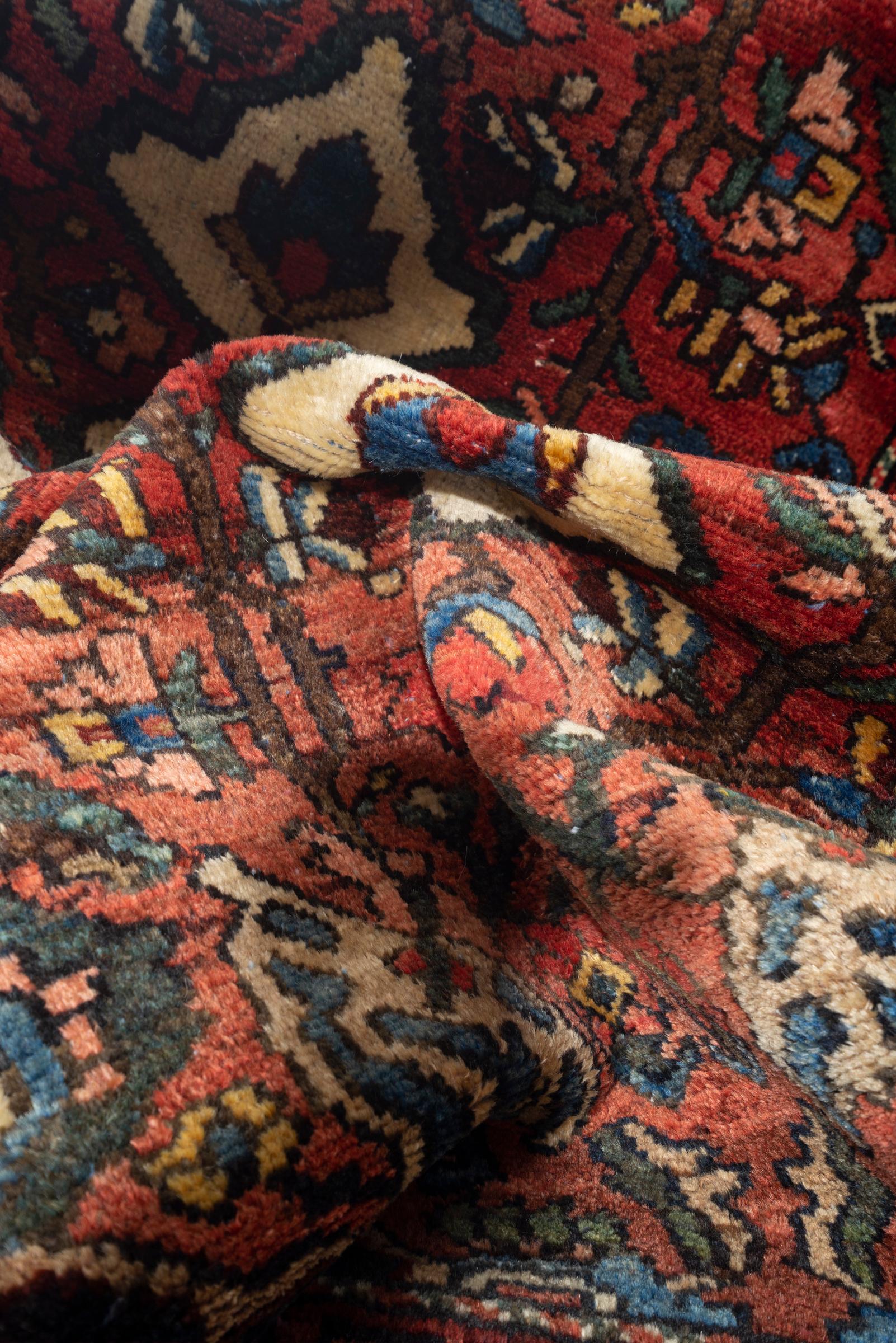 Antique Bakhtiari Toranj floral Persian Rug
