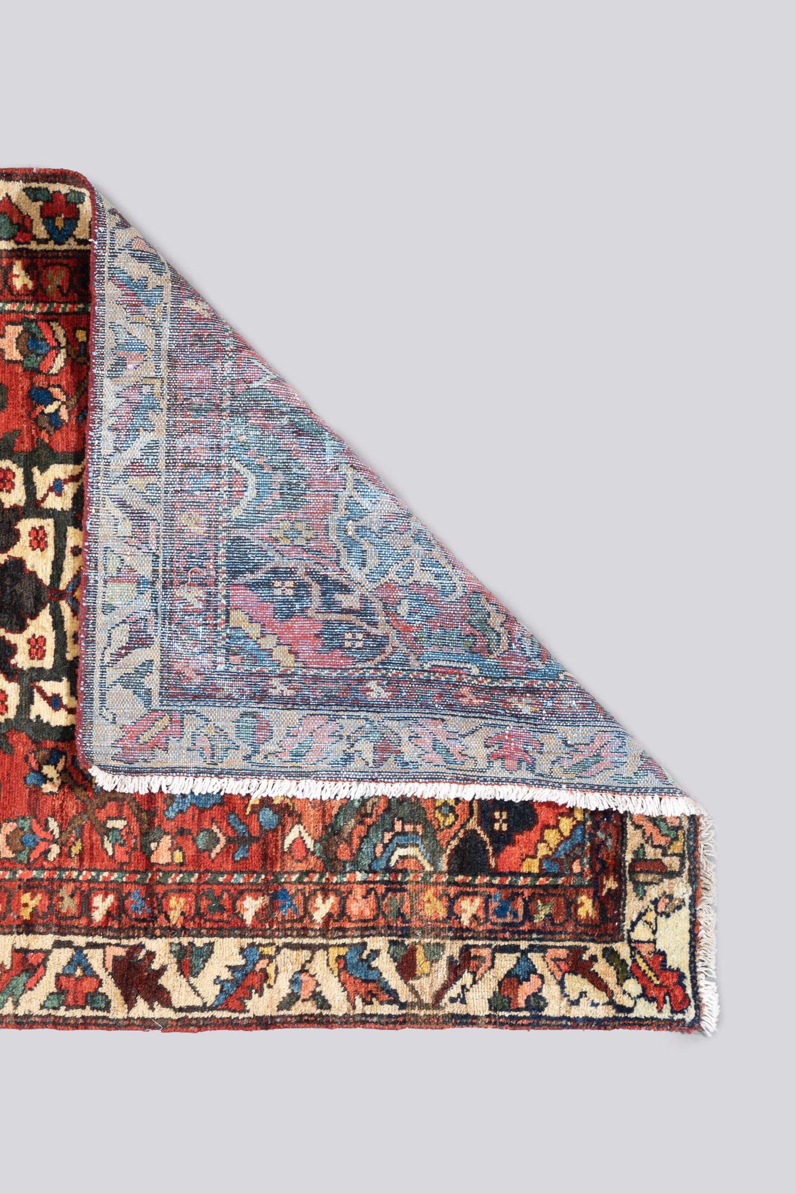 Antique Bakhtiari Toranj floral Persian Rug