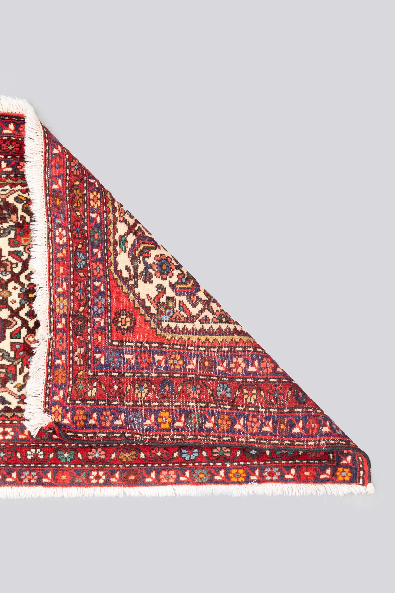 Vintage Rudbar Mahi Persian Poshti Rug 2