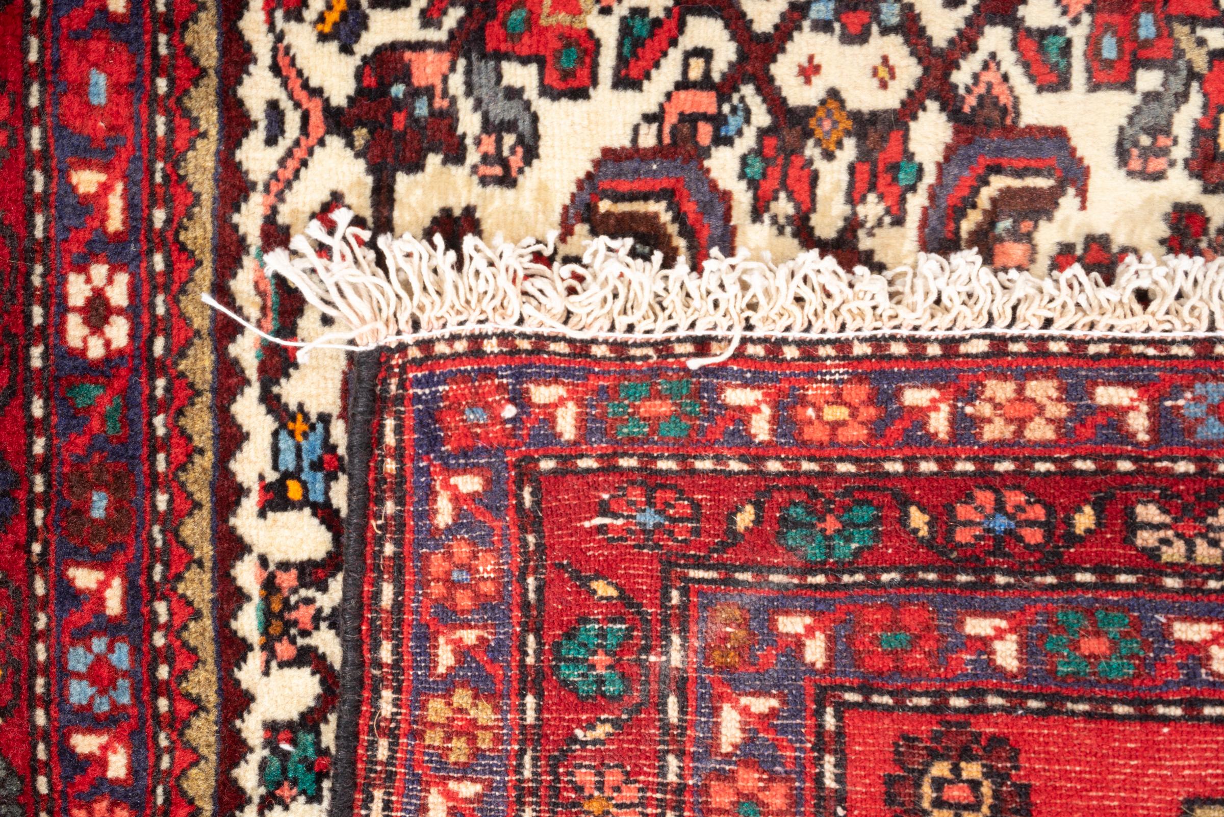 Vintage Rudbar Mahi Persian Poshti Rug 2