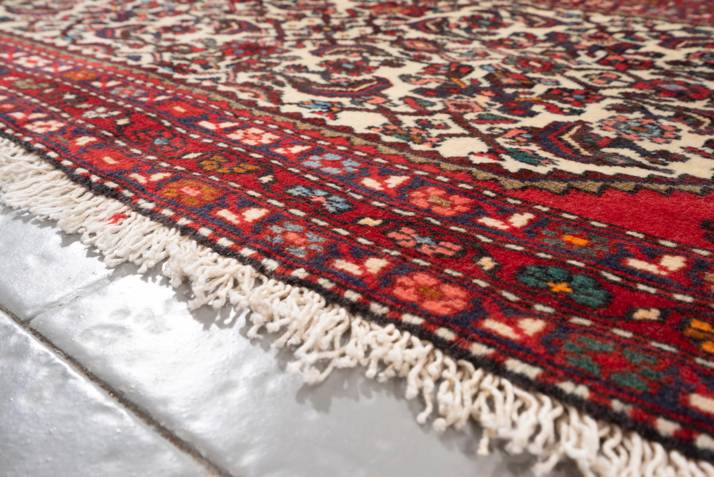 Vintage Rudbar Mahi Persian Poshti Rug 1