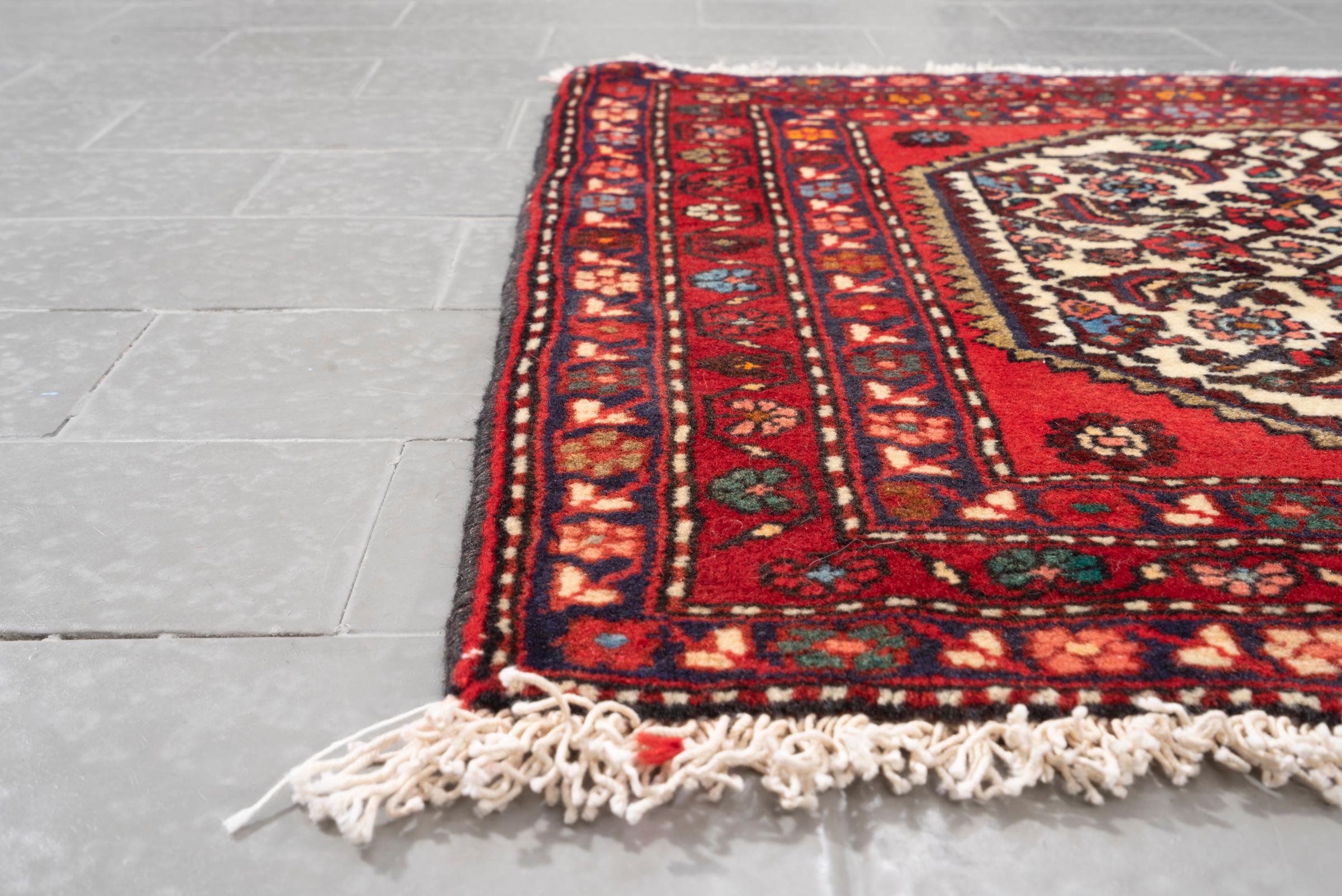 Vintage Rudbar Mahi Persian Poshti Rug 1