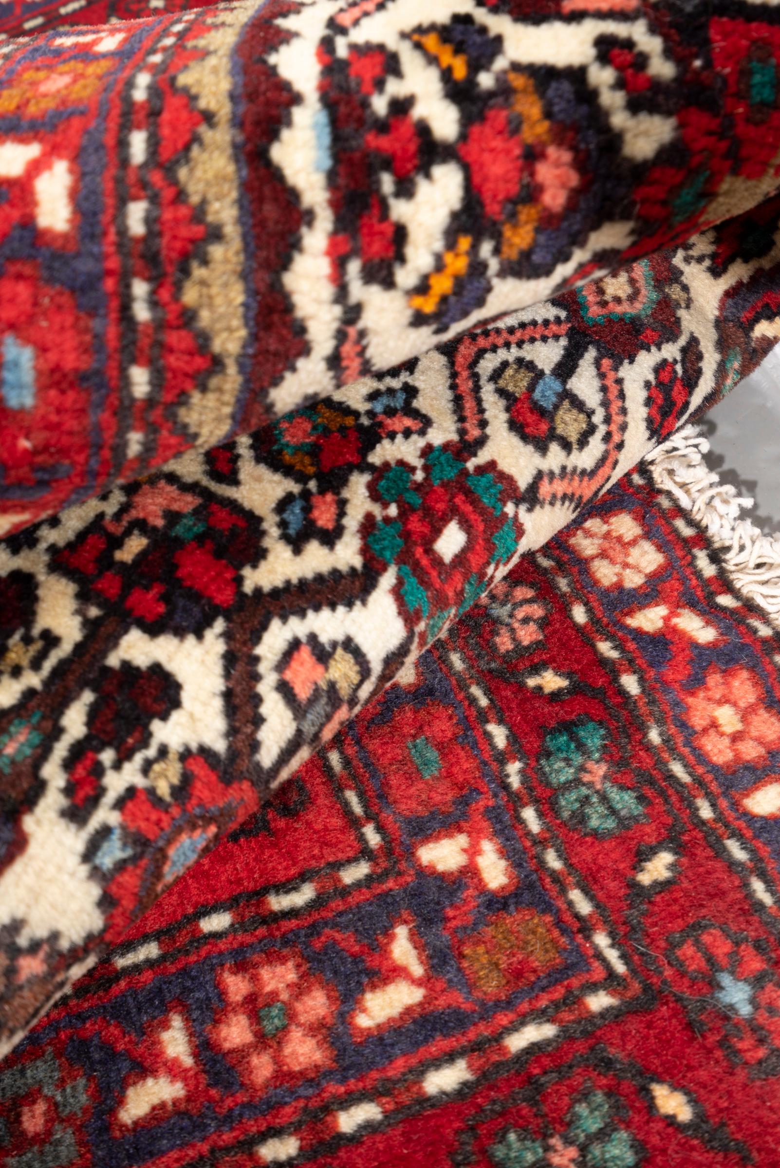 Vintage Rudbar Mahi Persian Poshti Rug 1