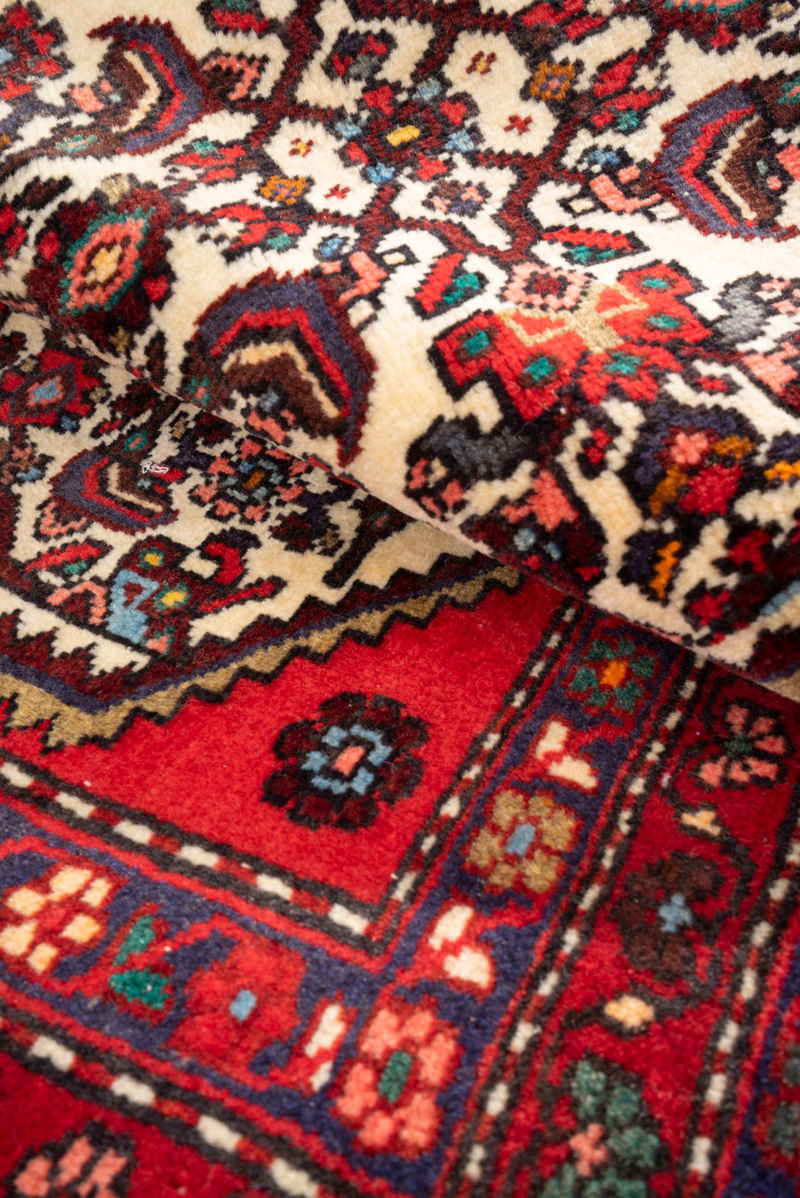 Vintage Rudbar Mahi Persian Poshti Rug 2