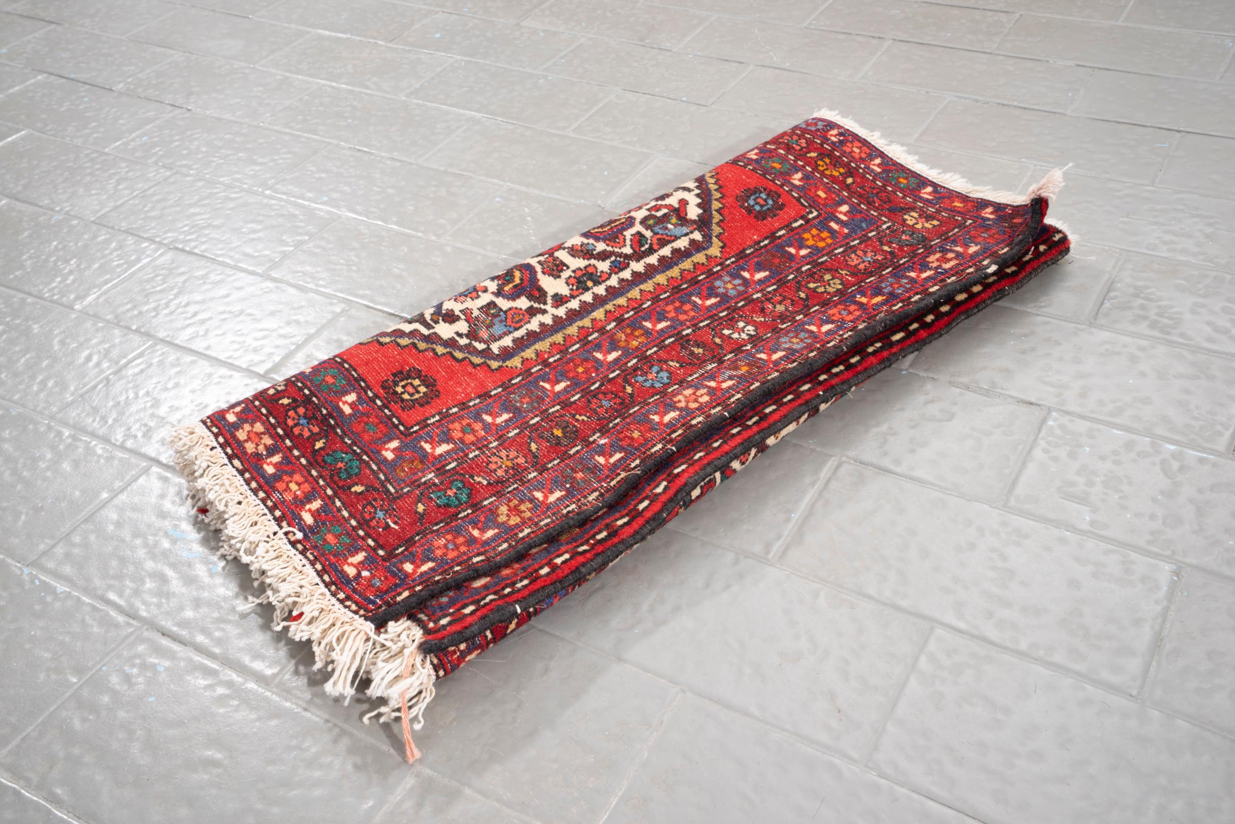 Vintage Rudbar Mahi Persian Poshti Rug 2