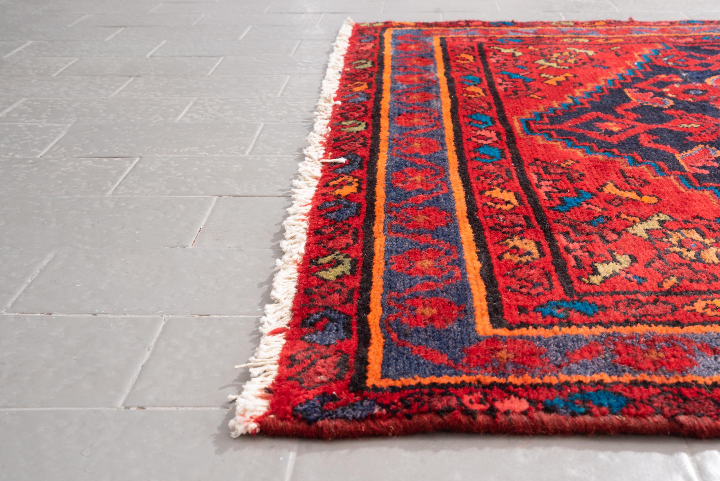 Antique Borujerd Mahi Rare Persian Runner Rug 2