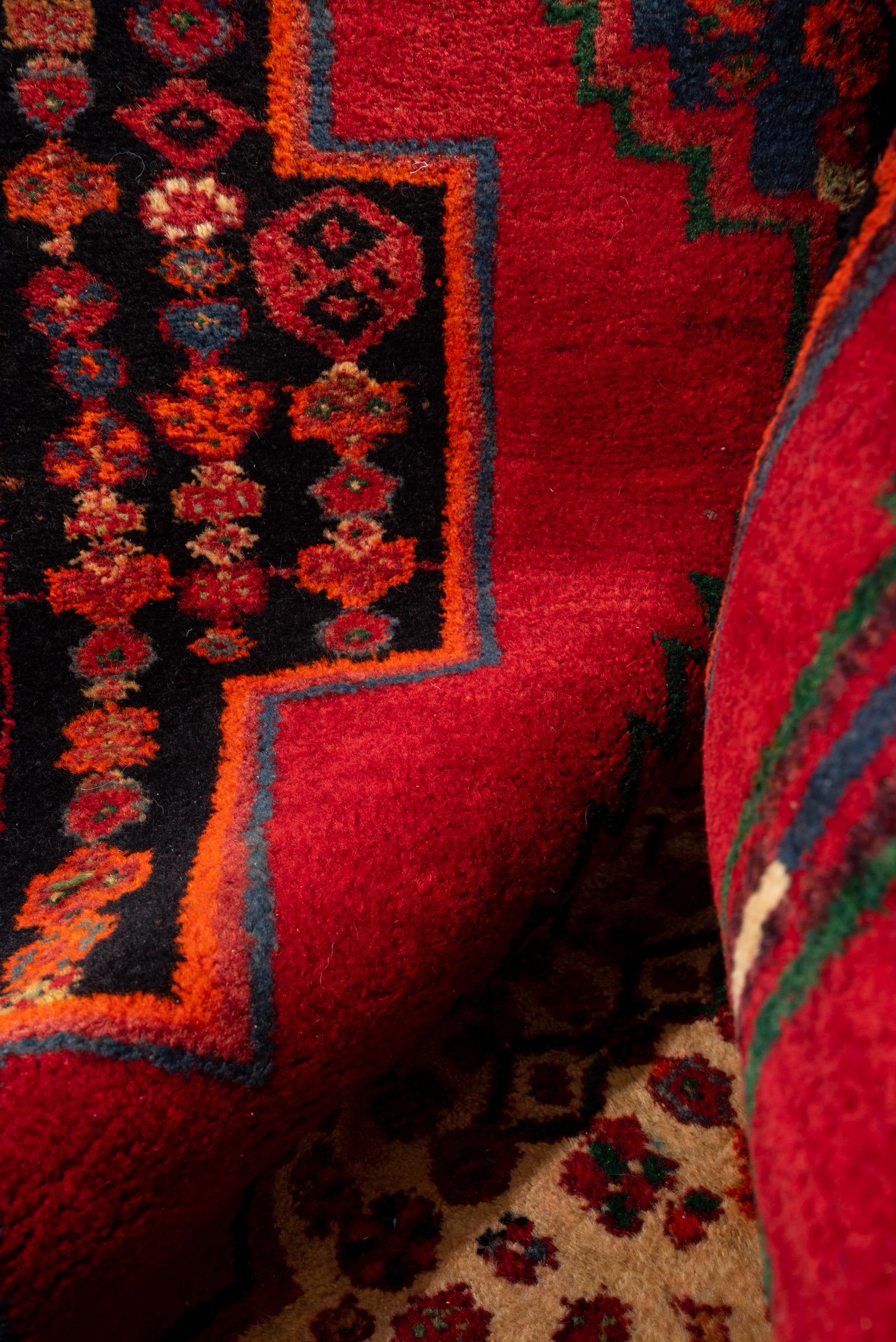 Vintage Zanjan rare triple Toranj Persian Runner Rug