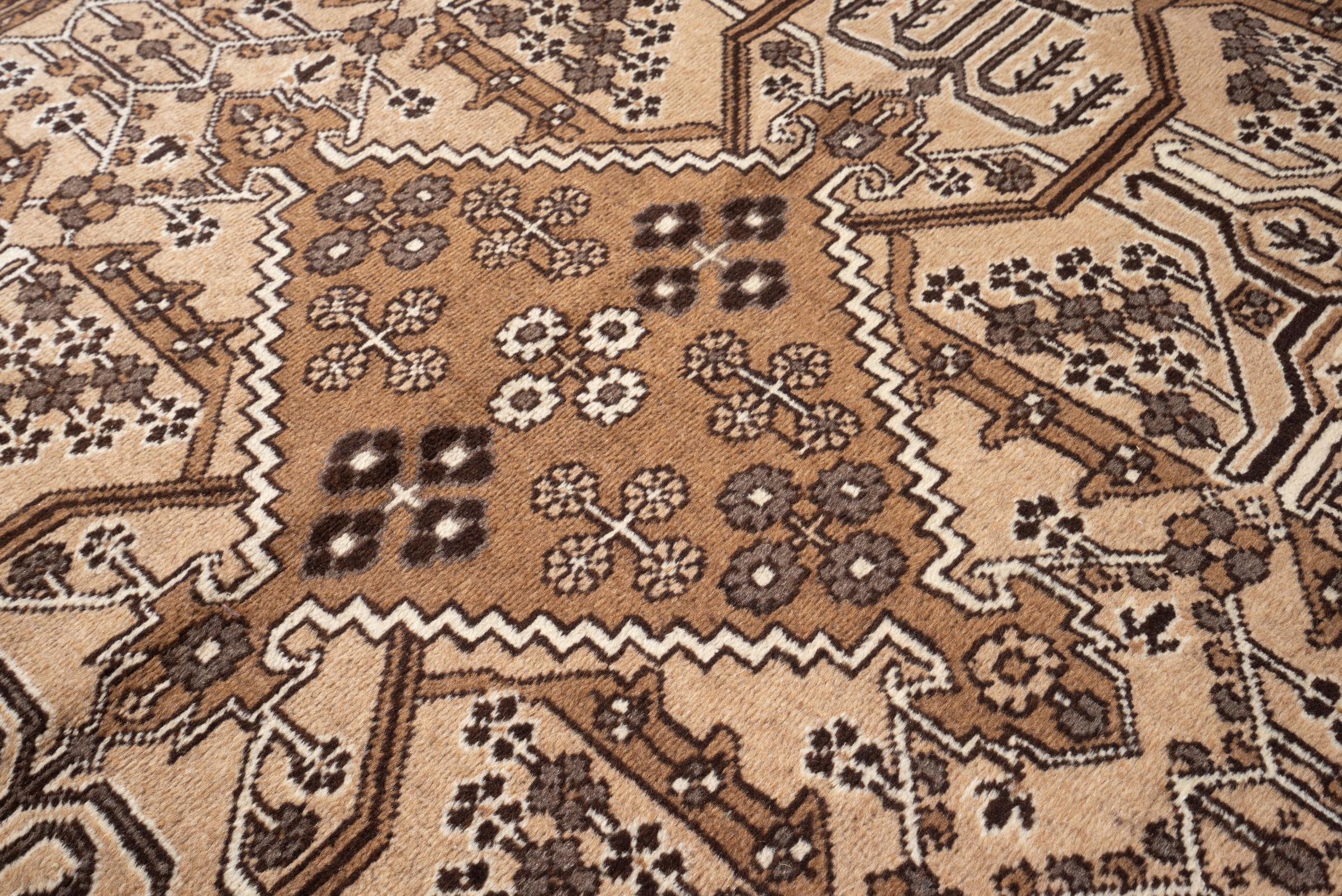 Vintage Bakhtiari Self dye Persian Rug