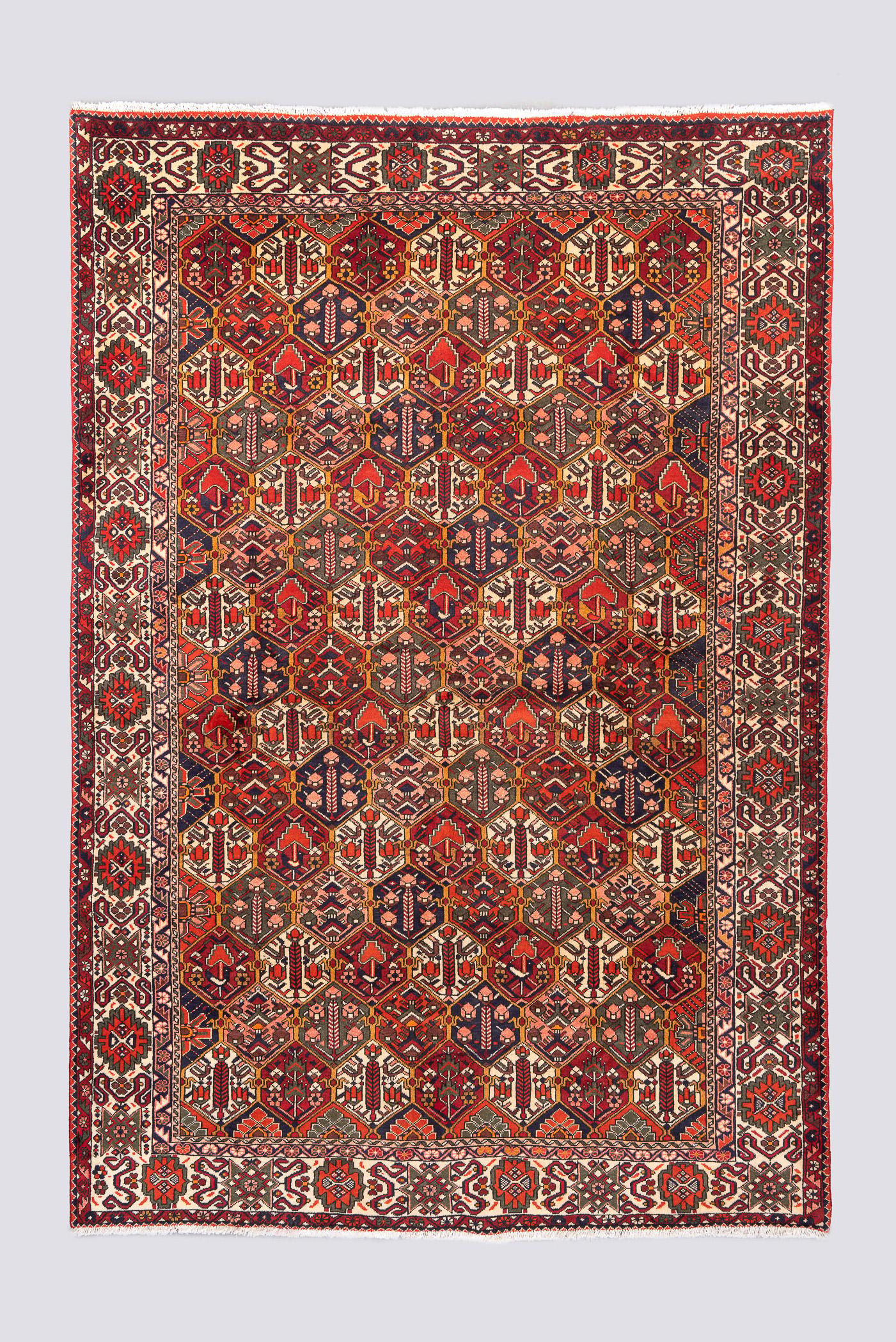 Vintage Fine Bakhtiari Lattices Carpet 6SQM