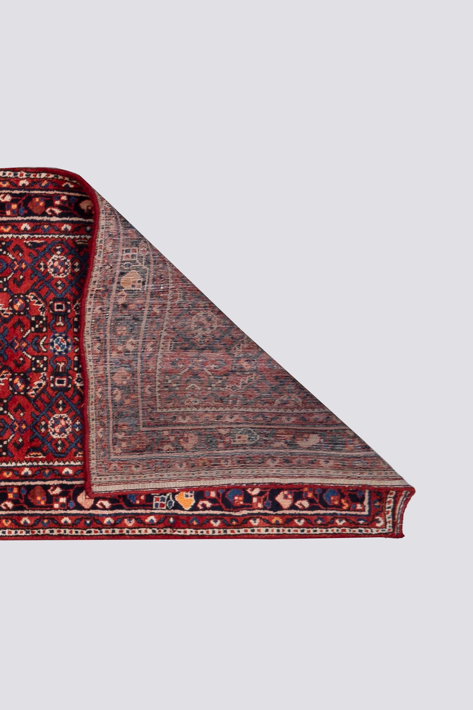 Hossein Abad Mahi Long Persian Runner Rug
