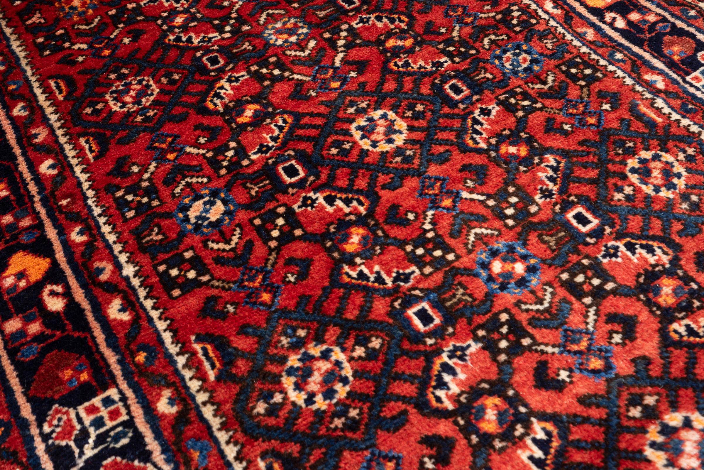 Hossein Abad Mahi Long Persian Runner Rug