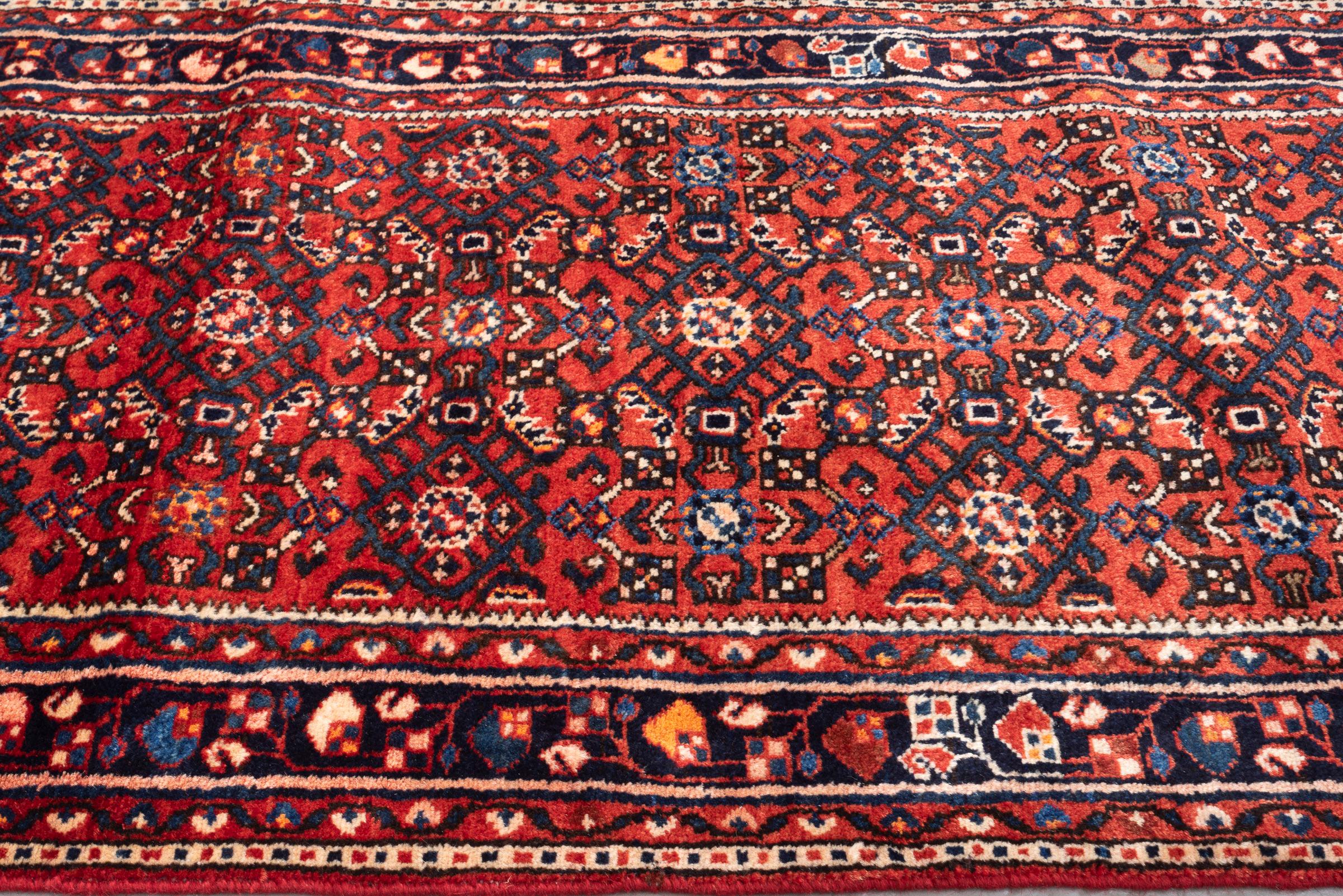Hossein Abad Mahi Long Persian Runner Rug