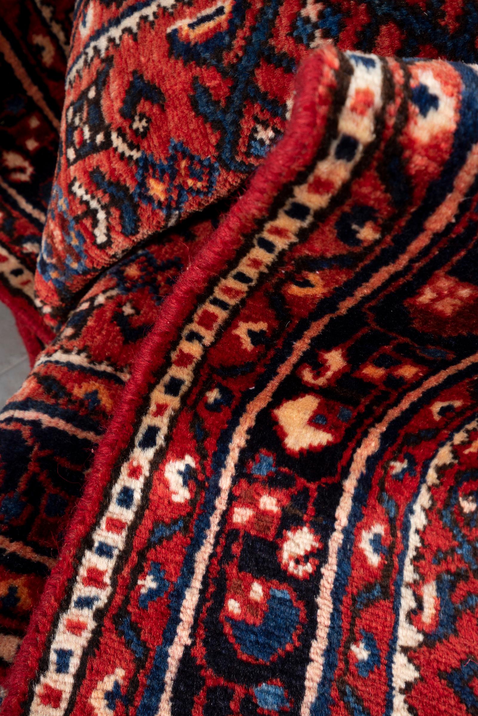 Hossein Abad Mahi Long Persian Runner Rug
