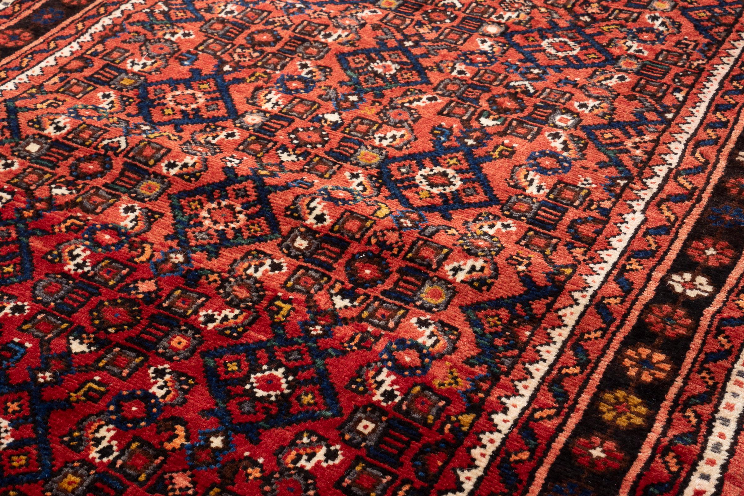 Hossein Abad Mahi Long Persian Runner Rug