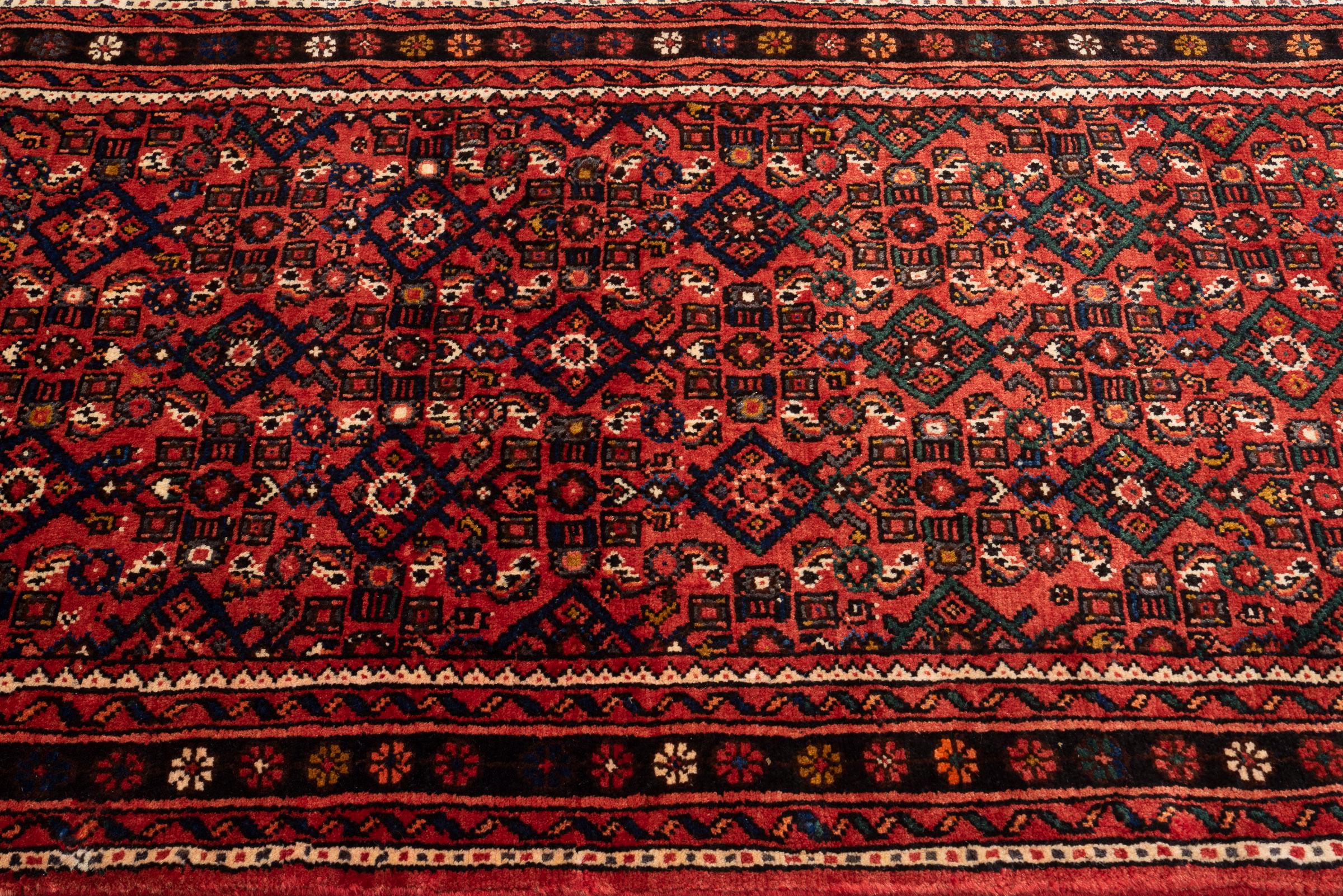 Hossein Abad Mahi Long Persian Runner Rug