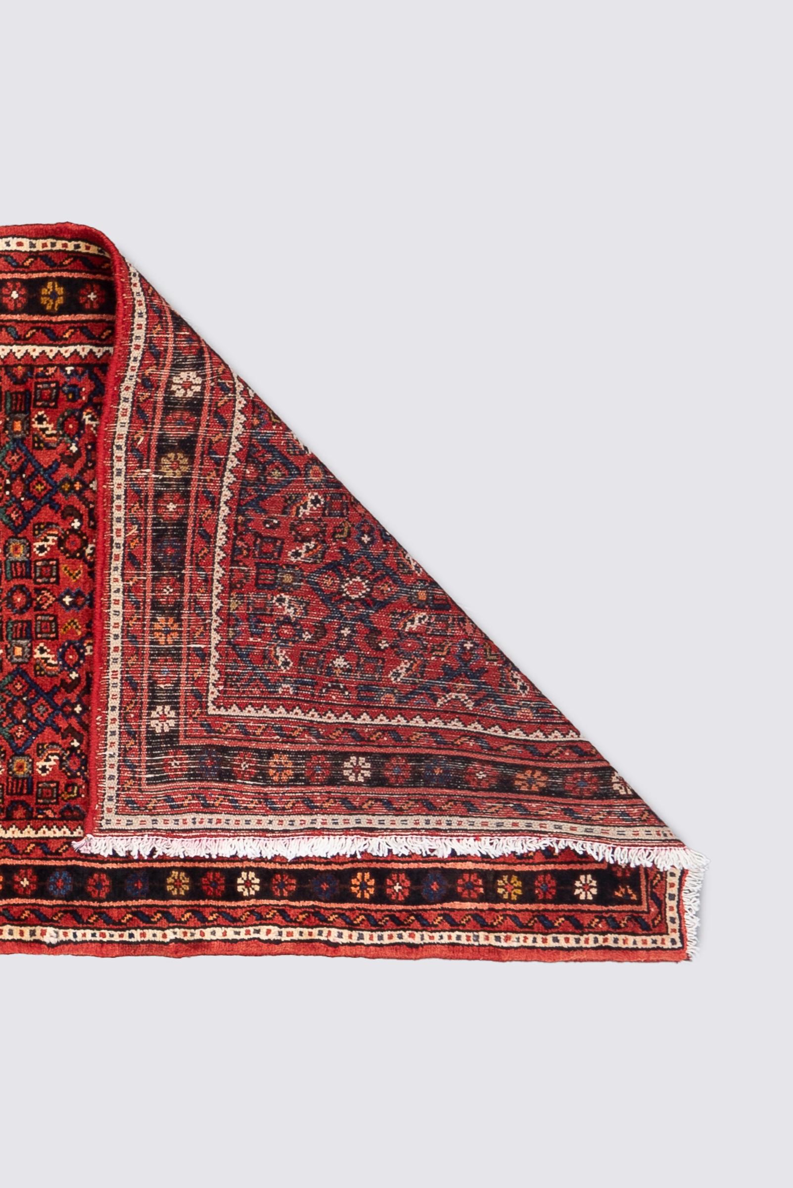 Hossein Abad Mahi Long Persian Runner Rug