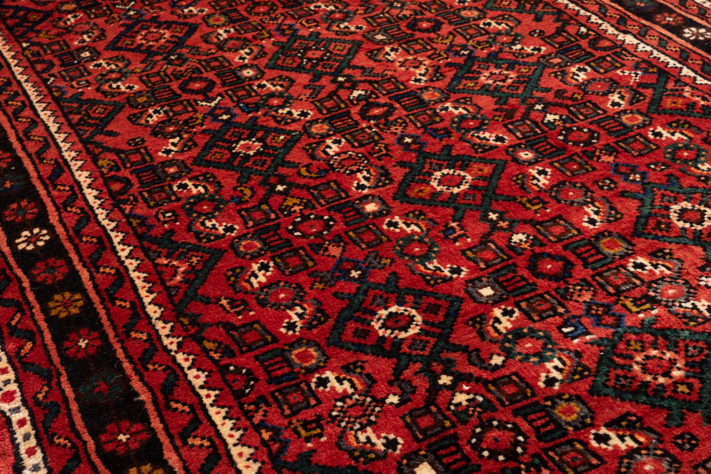 Hossein Abad Mahi Long Persian Runner Rug