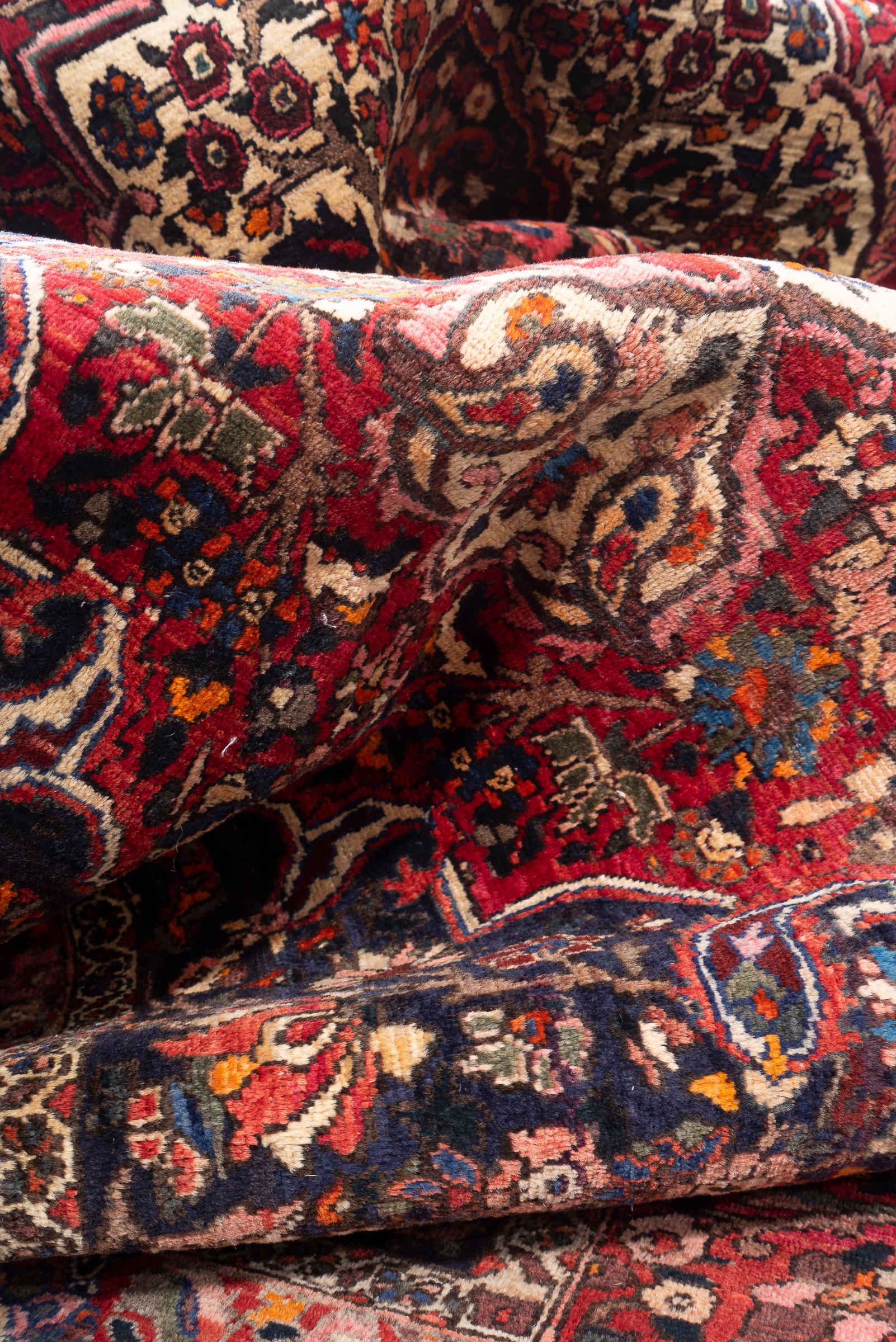 Antique Fine Bakhtiari Lachak Toranj Persian Rug