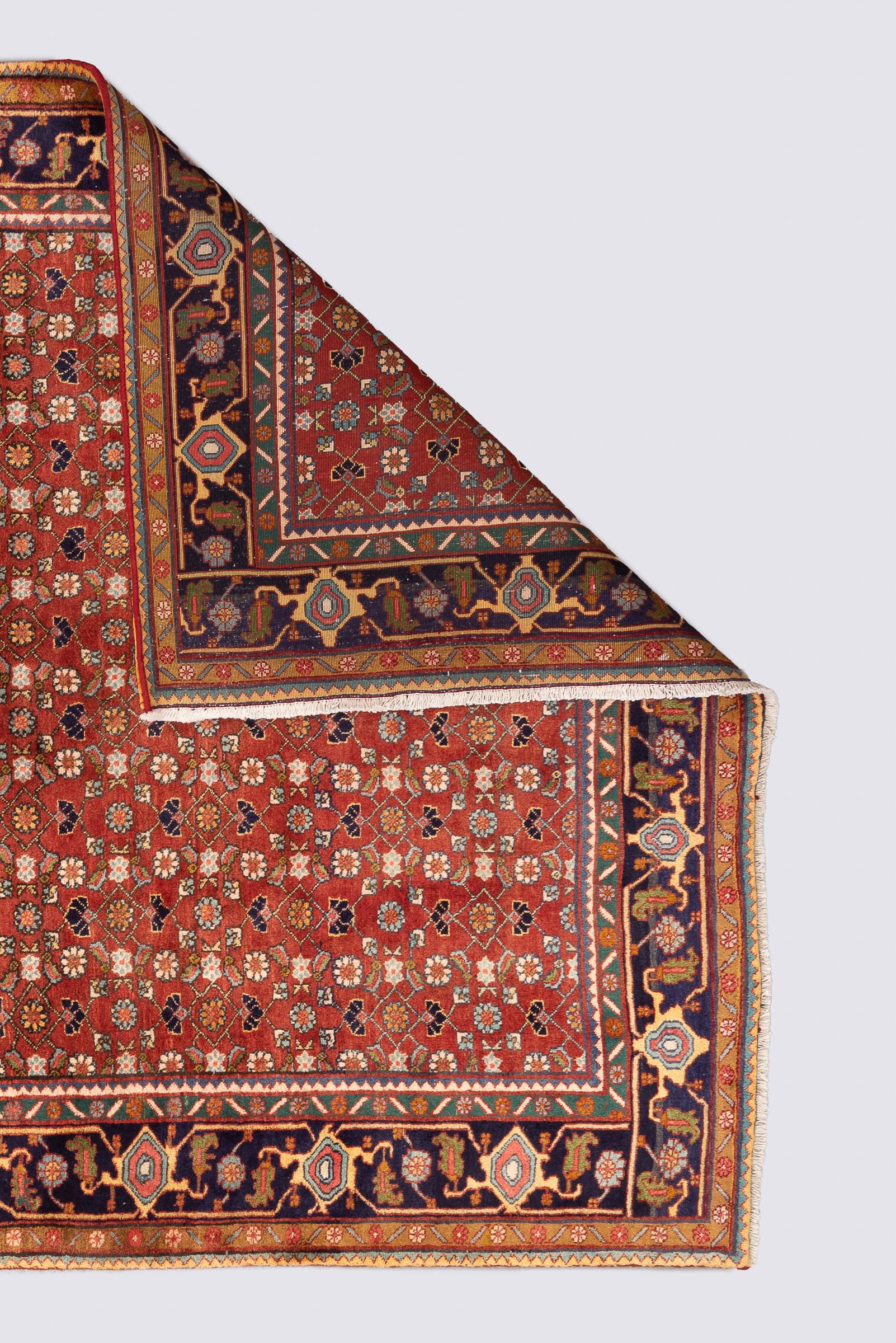 Vintage Zanjan Mahi Qalat Persian Rug