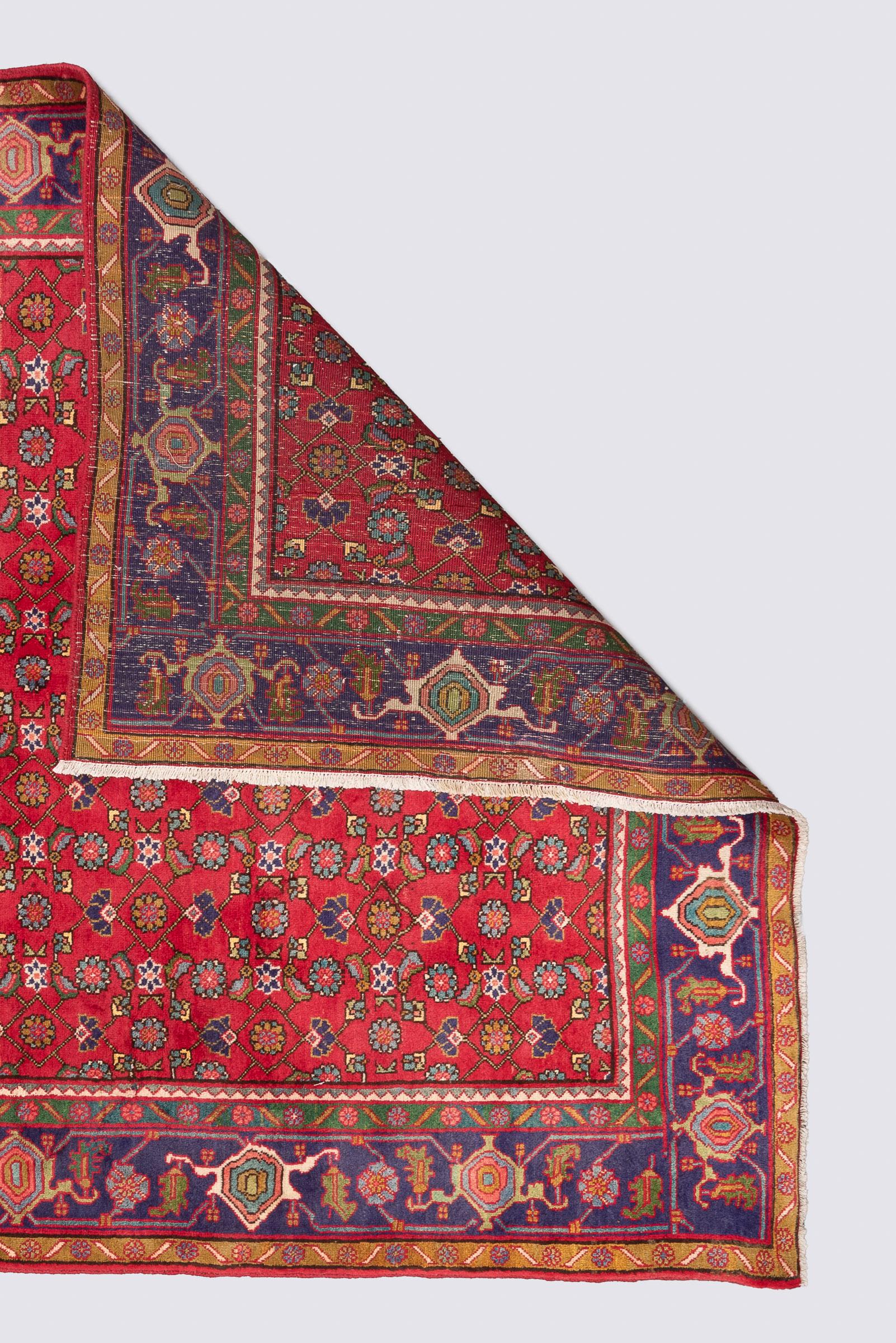 Vintage Zanjan Mahi Qalat Persian Rug