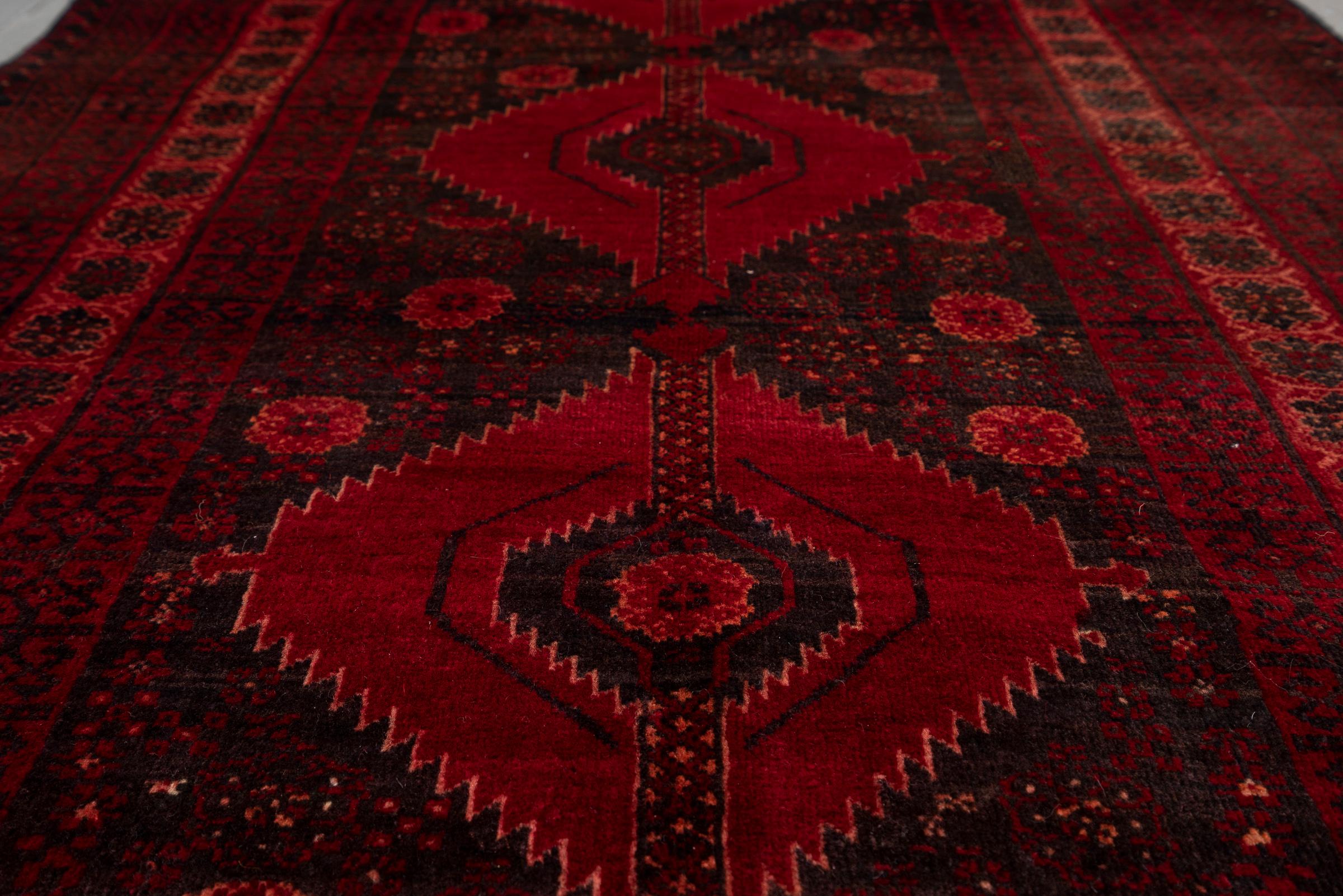 Baluch Triple Toranj Persian Rug