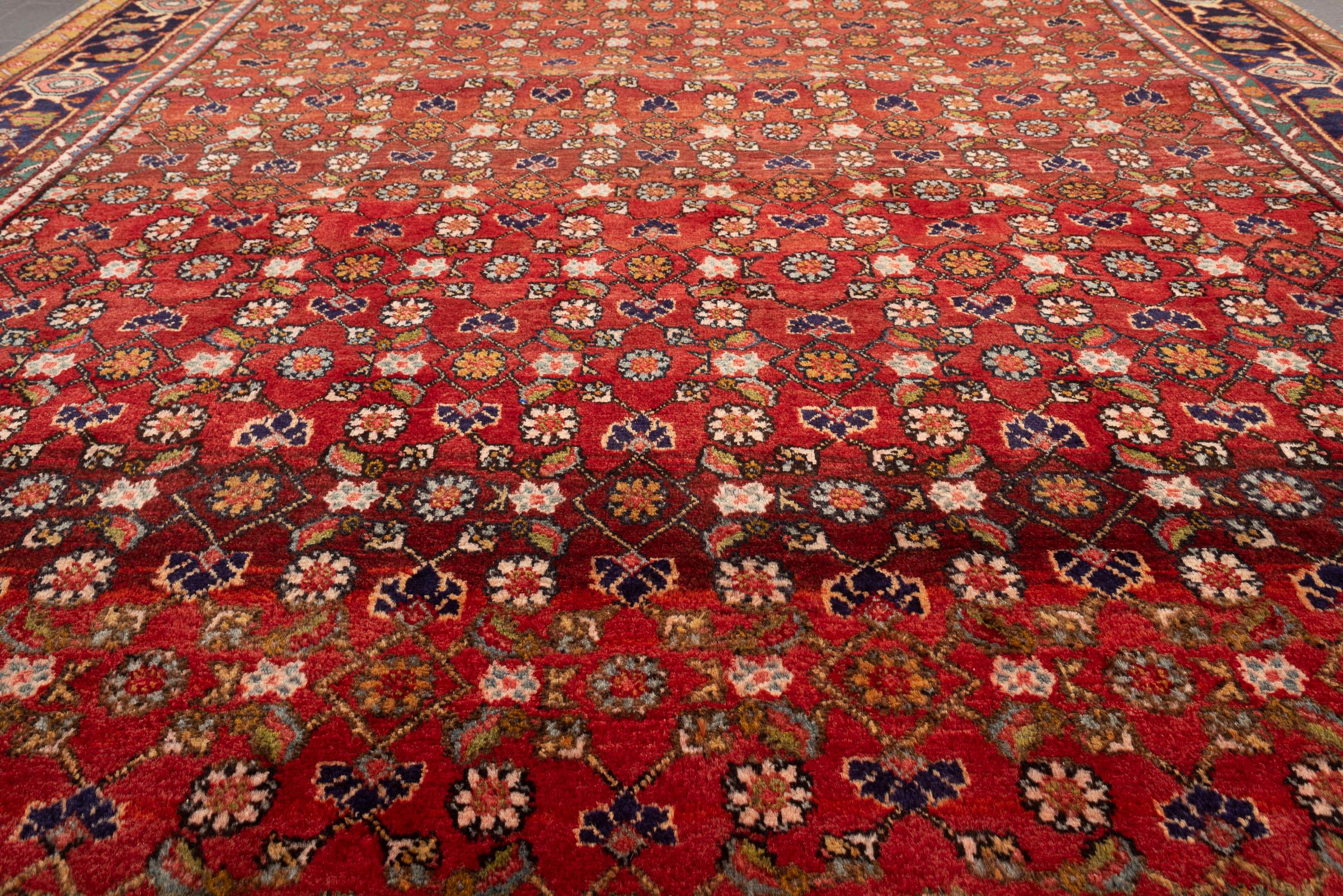 Vintage Zanjan Mahi Qalat Persian Rug
