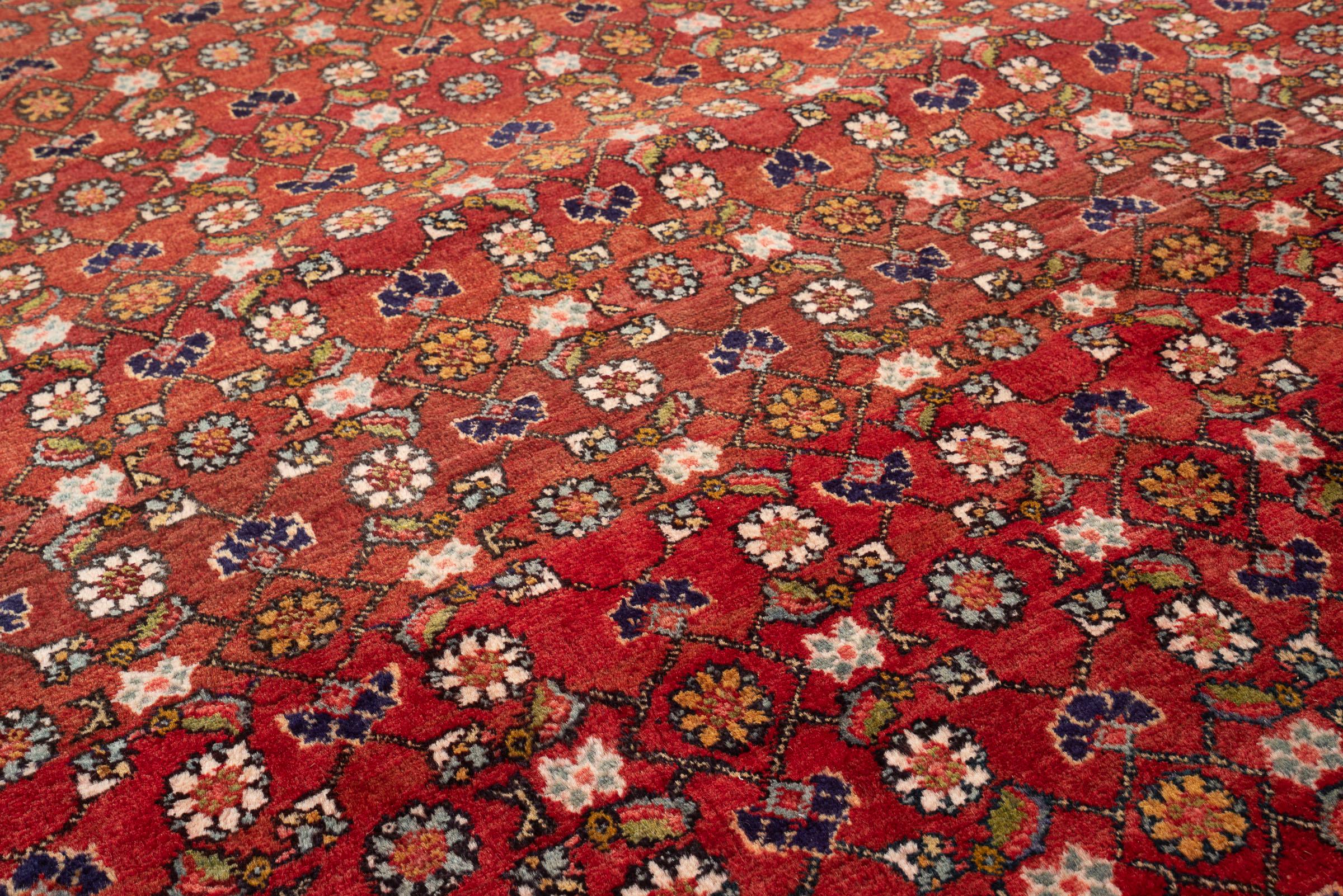 Vintage Zanjan Mahi Qalat Persian Rug