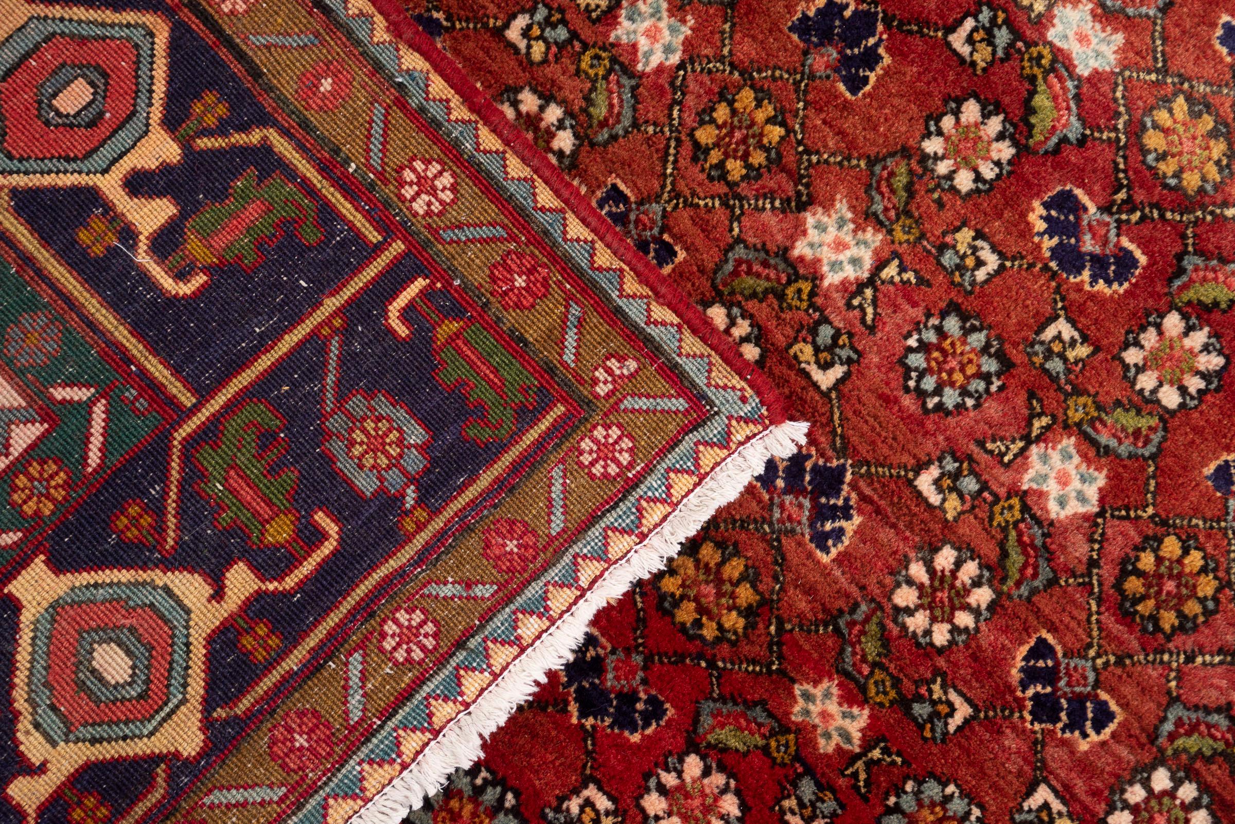 Vintage Zanjan Mahi Qalat Persian Rug