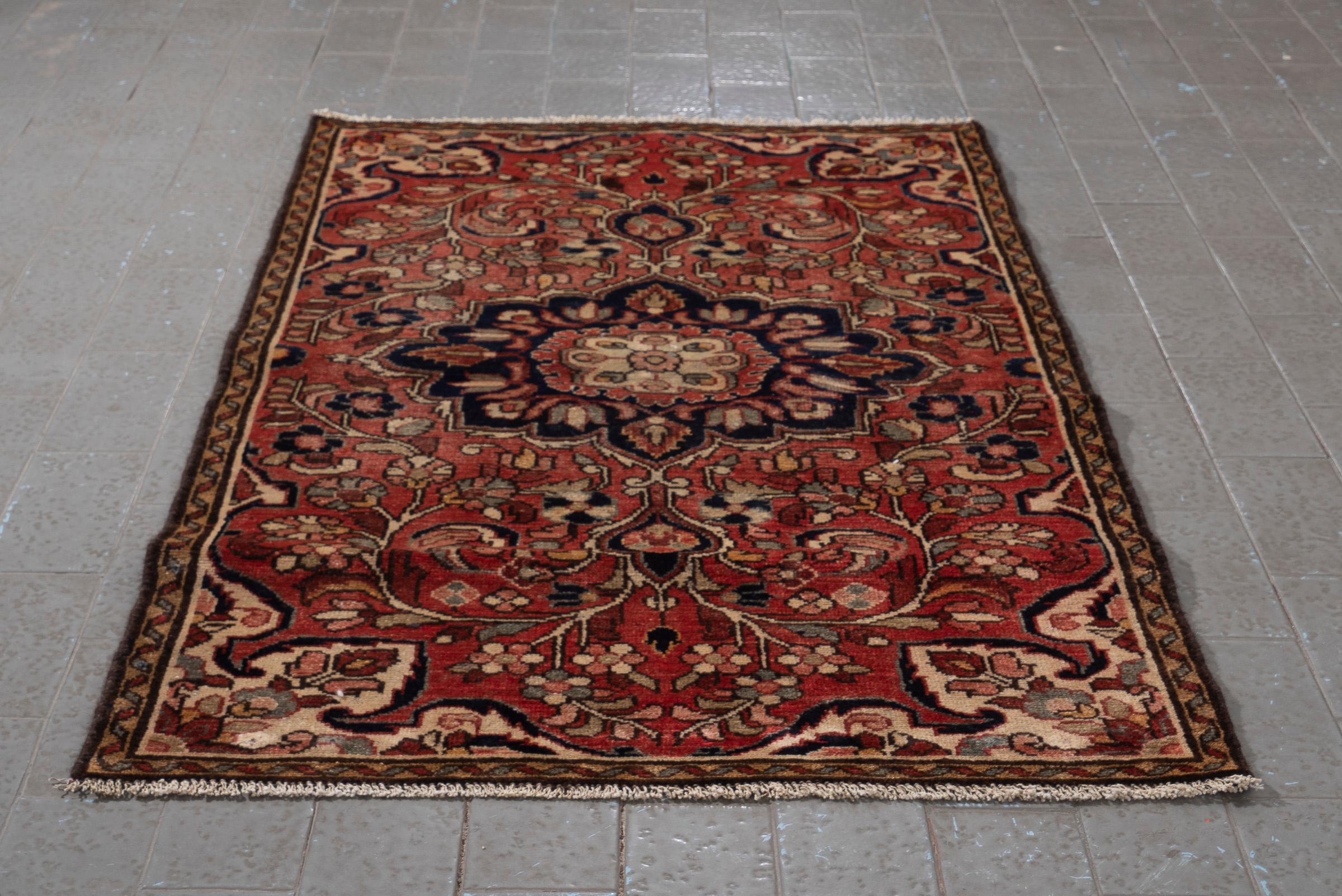 Lillian Armenian Lachak Toranj Persian Rug
