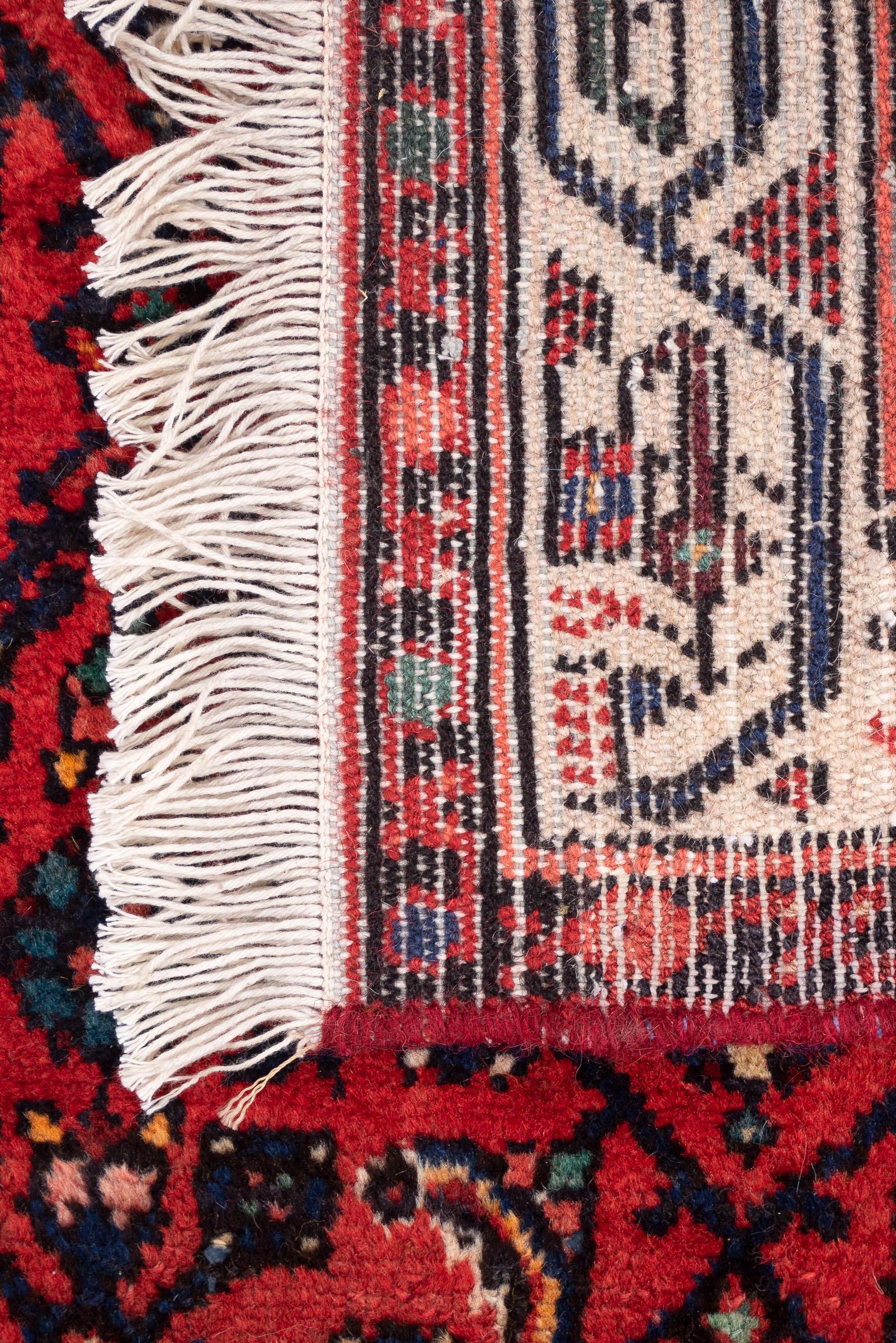 Hamadan Enjelas Mahi Persian Runner Rug