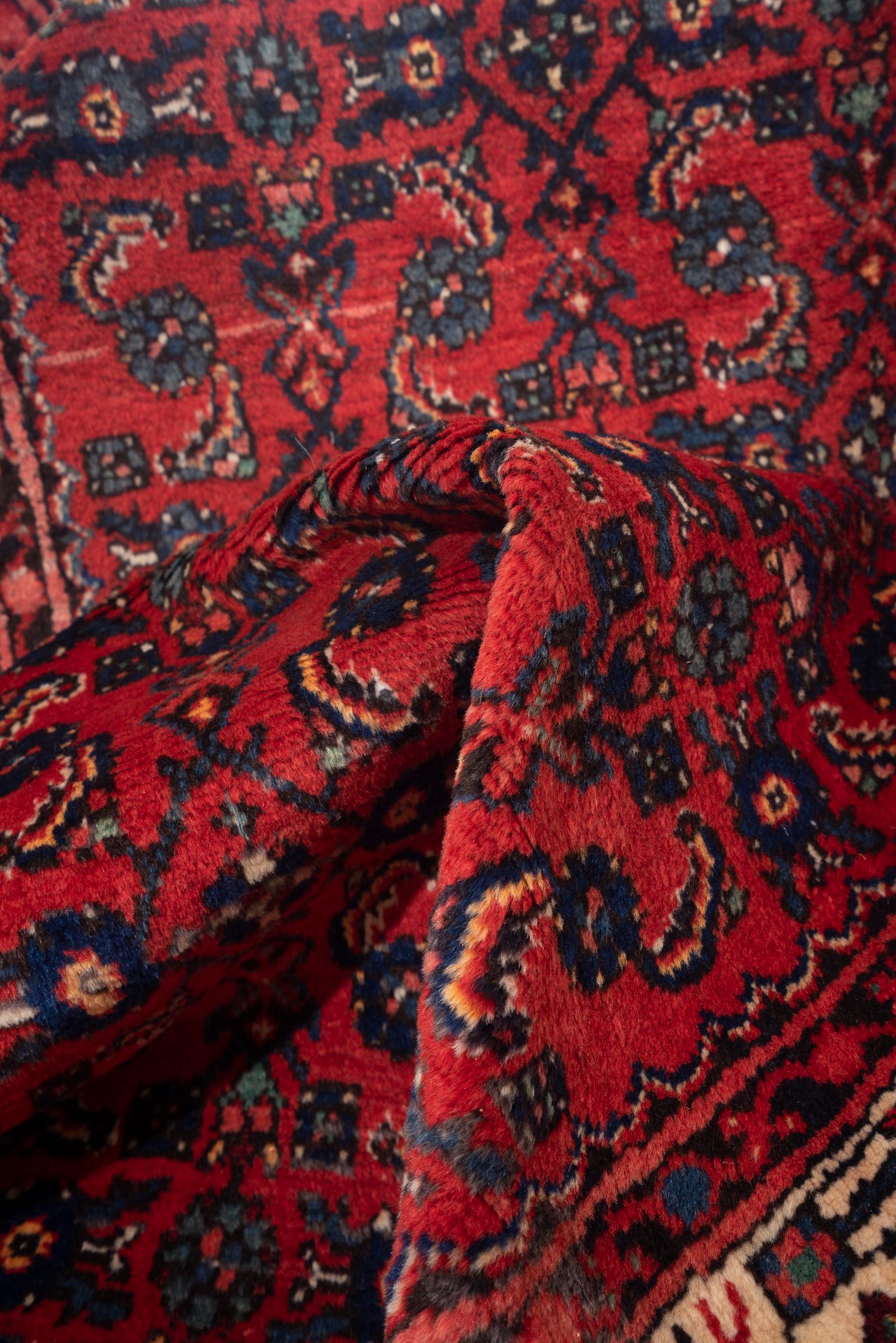 Hamadan Enjelas Mahi Persian Runner Rug