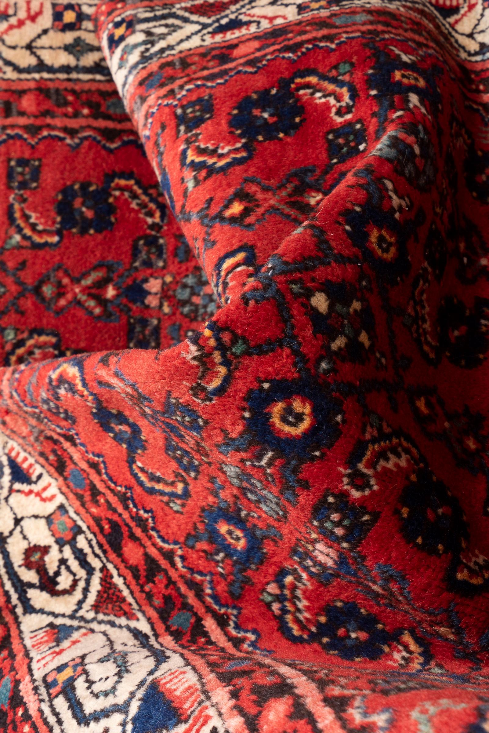 Hamadan Enjelas Mahi Persian Runner Rug
