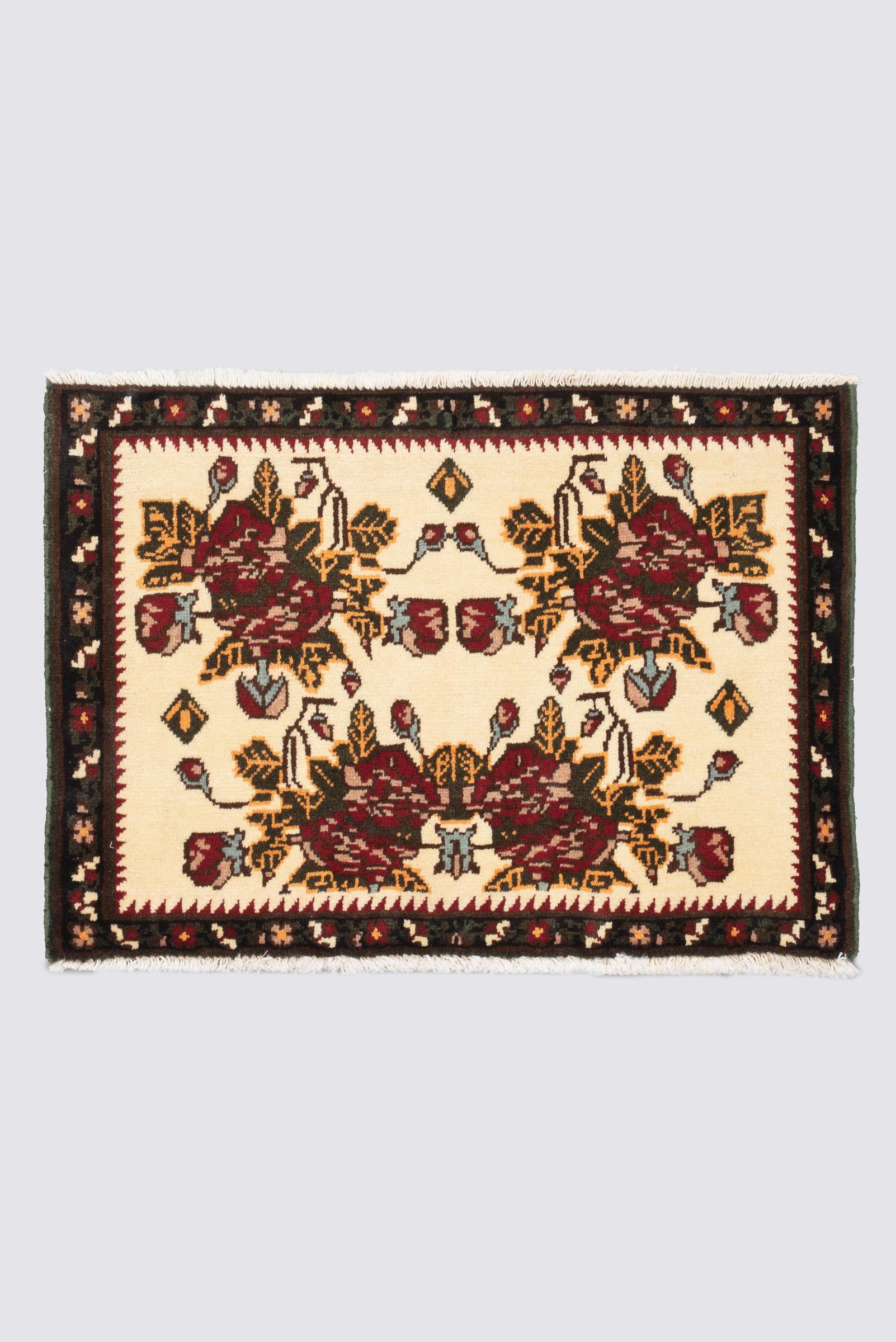 Afshar Golfarang Persian Rug