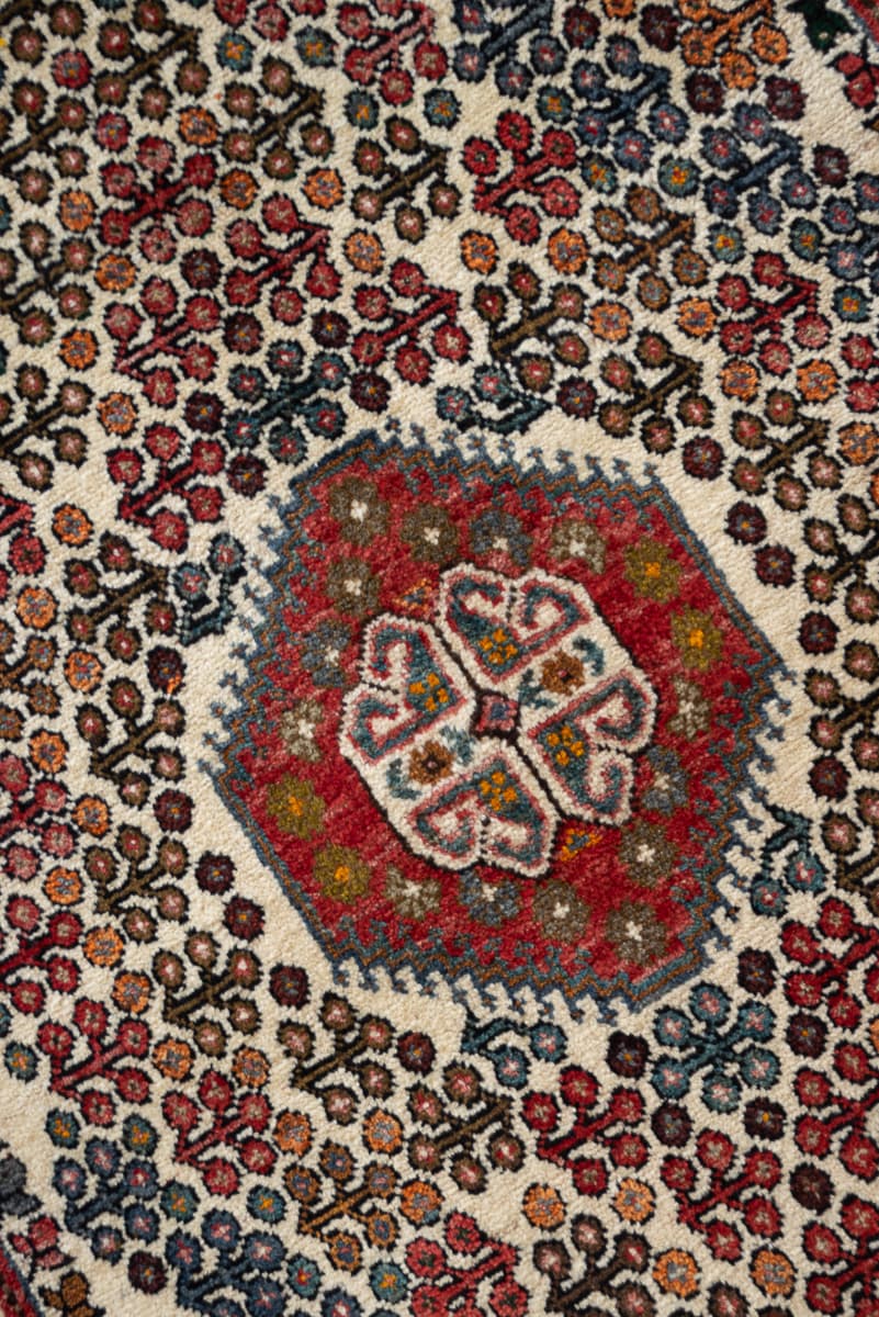 Qashqai Darrehshuri Shrub Motif Persian Rug, Mid 20th Century