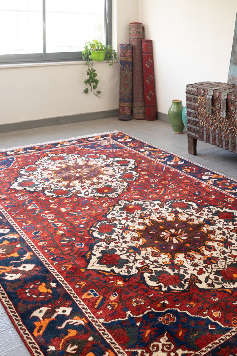 Bakhtiari Hinegun Persian Rug Twin Diamond Medallion, c. 1950s–60s