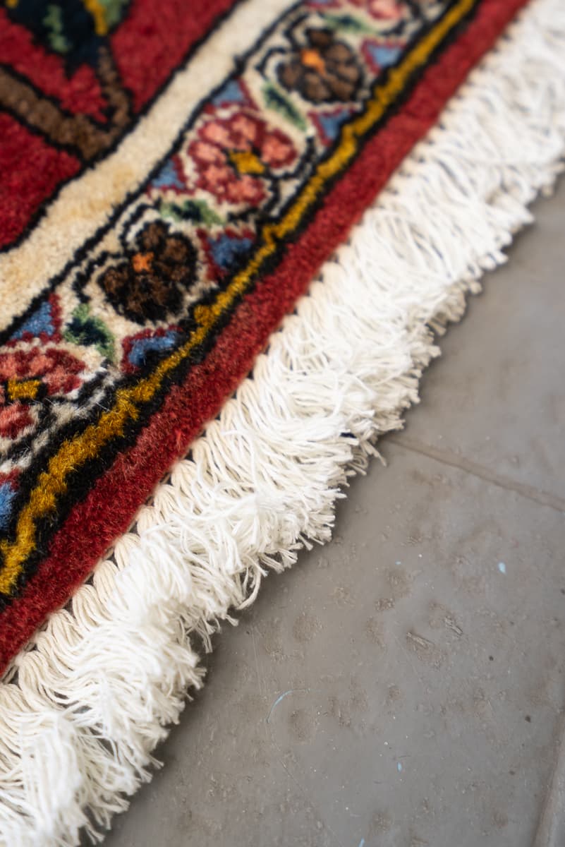 Fine Bakhtiari Poppy Frames Persian Rug
