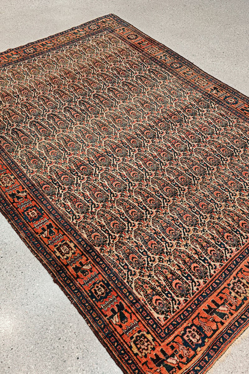 Antique Persian Senneh Rug, Boteh Field, c. 1890s to 1910s